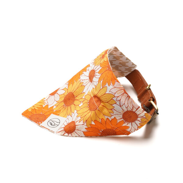 Colorful Flower Reversible Slide On The Collar Pet Bandana