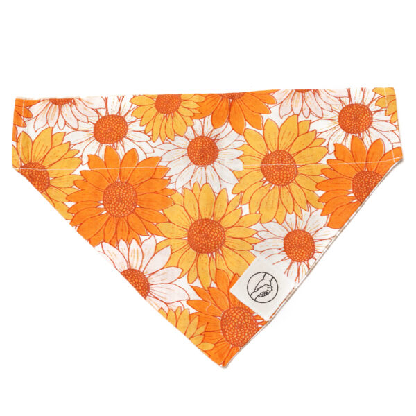 Colorful Flower Reversible Slide On The Collar Pet Bandana