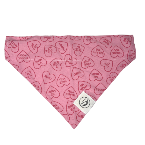 Pink Heart Reversible Slide On The Collar Pet Bandana