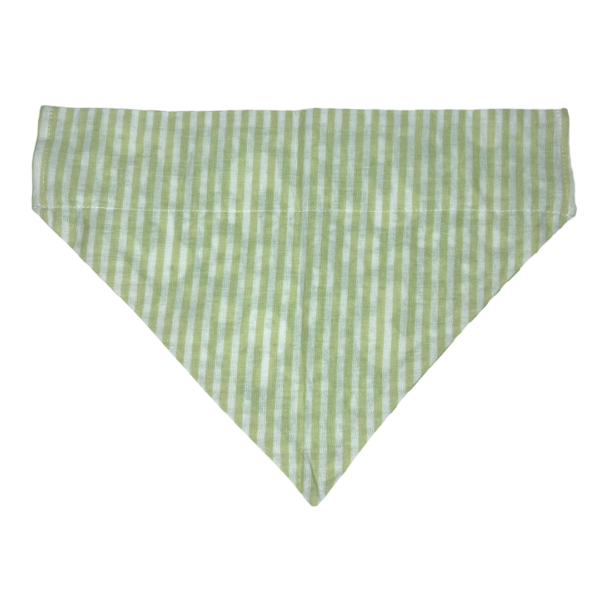 Green Easter Bunny Reversible Slide On The Collar Pet Bandana