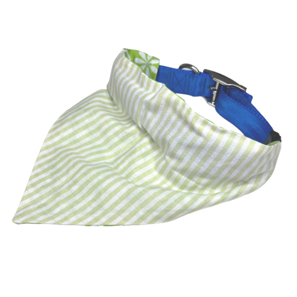 Green Easter Bunny Reversible Slide On The Collar Pet Bandana