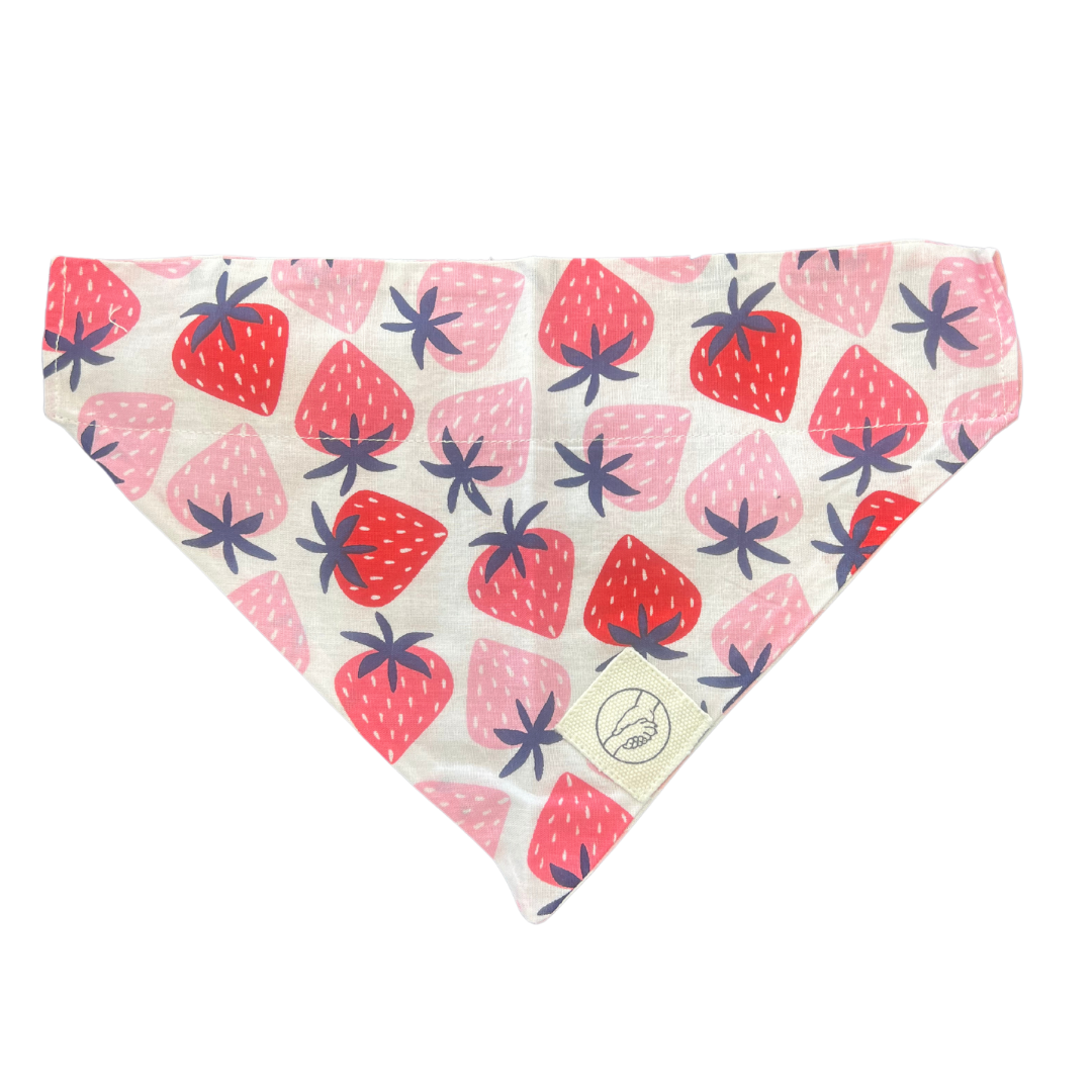 Berry Special Reversible-Slide On The Collar Pet Bandanas