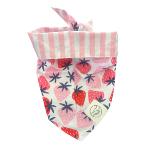 Strawberry And Stripes Reversible Tie On Pet Bandana