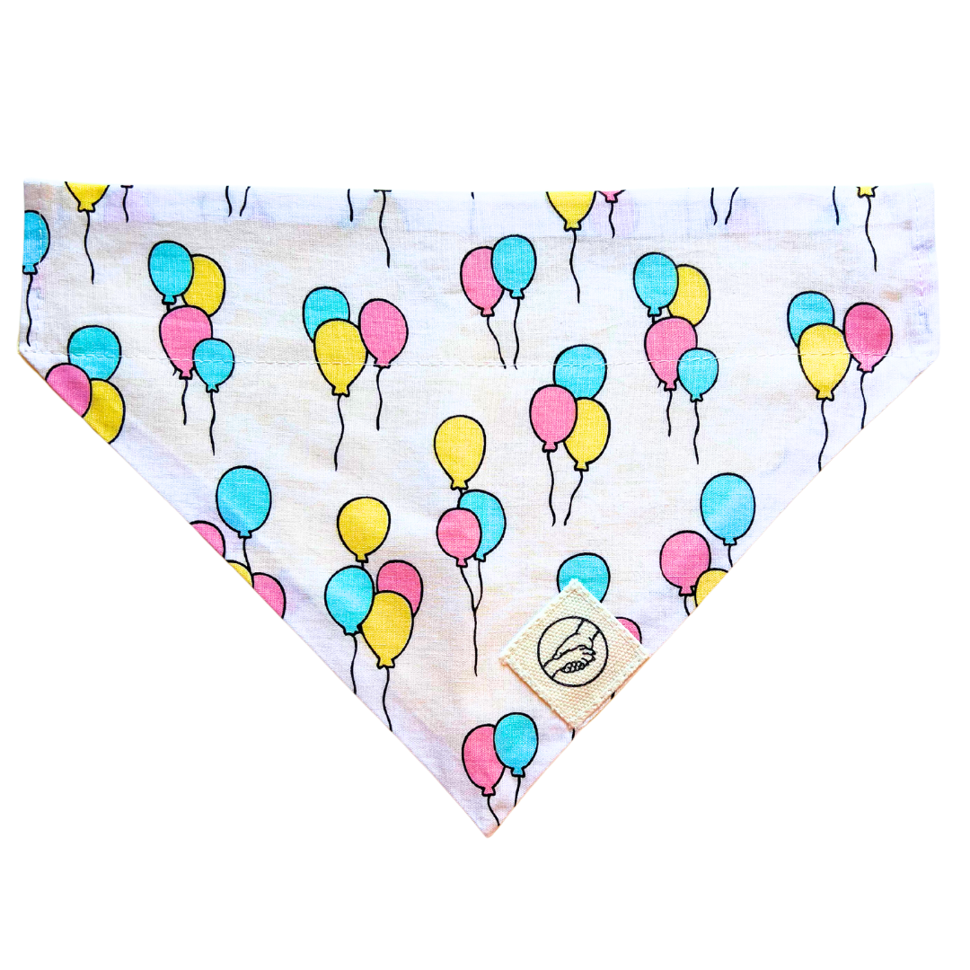 Celebration Reversible Slide On The Collar Pet Bandana