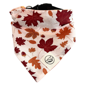 Fall Leaves Pet Bandana
