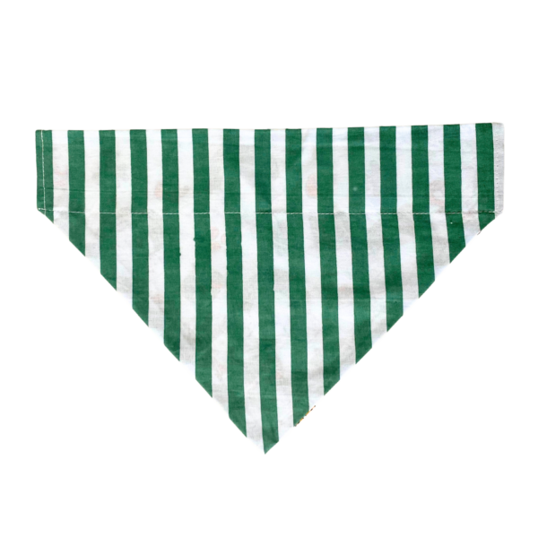 Slide On The Collar On Pet Bandanas Alex And Andy