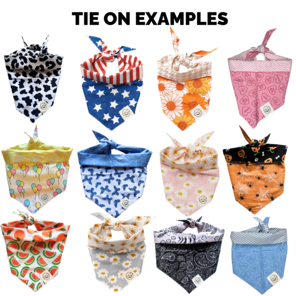 Mystery Dog And Cat Bandanas - Image 3