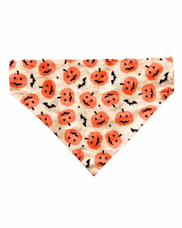 Halloween & Fall Reversible Pet Bandanas & Bow Ties - 100% Cotton - Slide On The Collar & Tie On - Washable - Image 8