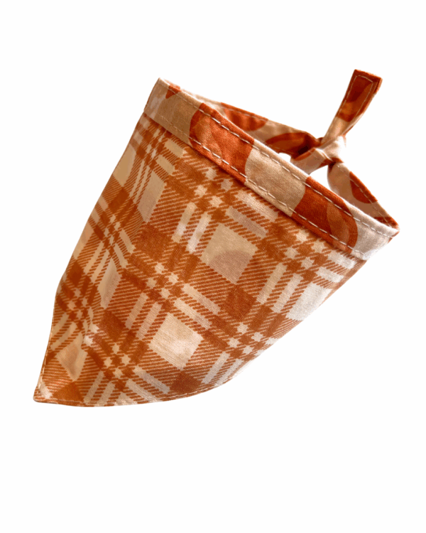 Halloween & Fall Reversible Pet Bandanas & Bow Ties - 100% Cotton - Slide On The Collar & Tie On - Washable - Image 32