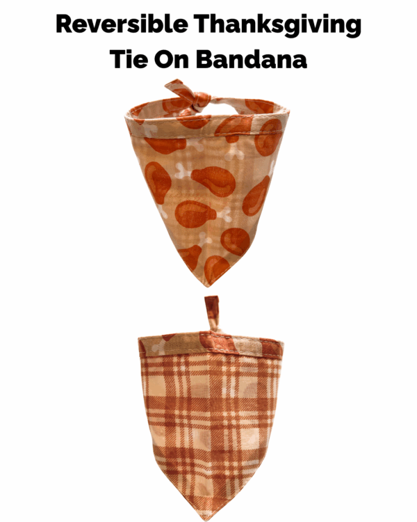 Halloween & Fall Reversible Pet Bandanas & Bow Ties - 100% Cotton - Slide On The Collar & Tie On - Washable - Image 5