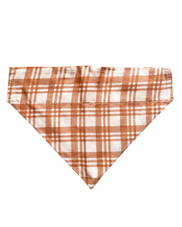 Halloween & Fall Reversible Pet Bandanas & Bow Ties - 100% Cotton - Slide On The Collar & Tie On - Washable - Image 25