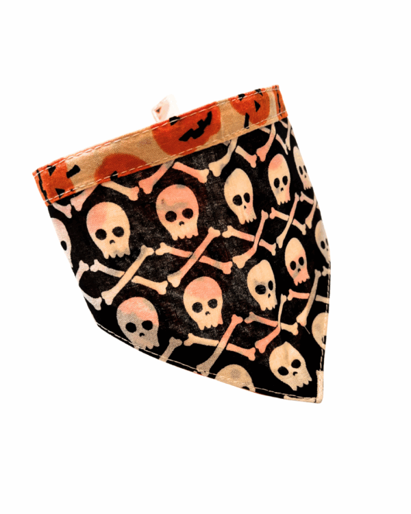 Halloween & Fall Reversible Pet Bandanas & Bow Ties - 100% Cotton - Slide On The Collar & Tie On - Washable - Image 13